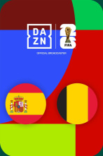 Imagen de Cuartos de final: España - Bélgica - 1