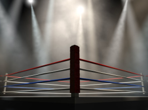 Imagen de Boxeo: combate Tyson vs Tillis - 1