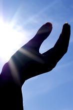Imagen de Signes dels temps - 2